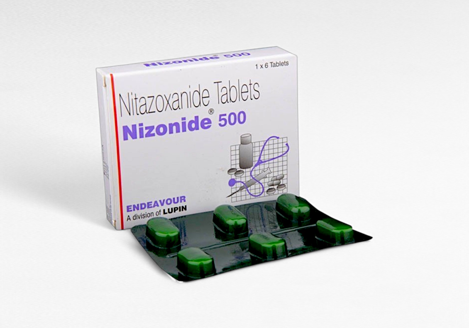 니조나이드(nizonide) 500mg