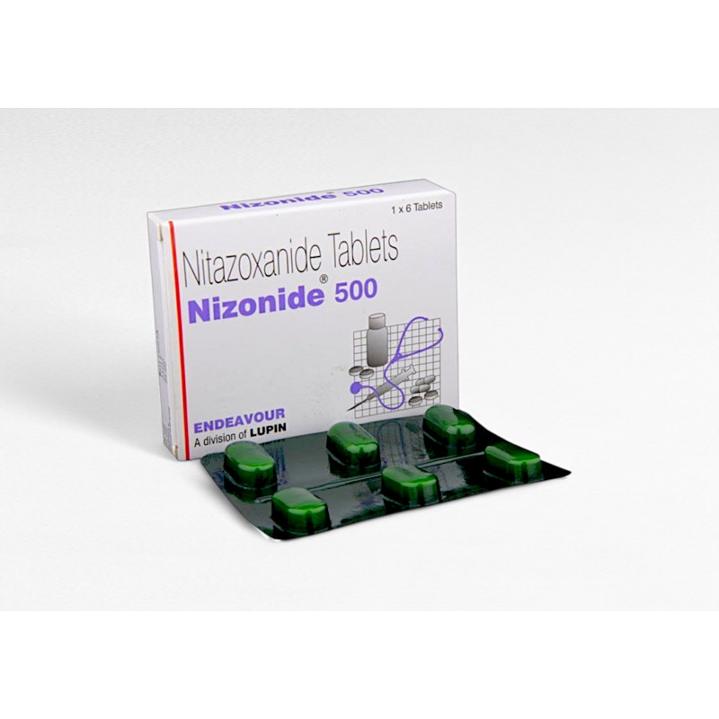 니조나이드(nizonide) 500mg