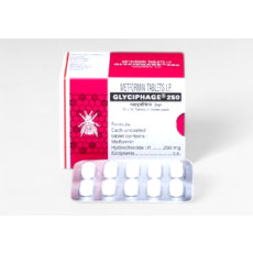 메트포르민 글리시파지 250mg